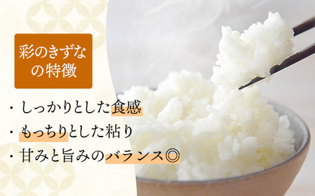 令和7年産【彩のきずな】白米20kg 色彩選別済 White Rice- お米 ごはん 精米