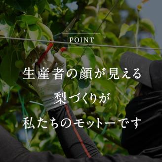 鳥取県南部町産　井田農園のあたご[梨]（2.5kg箱）＜3月出荷分＞