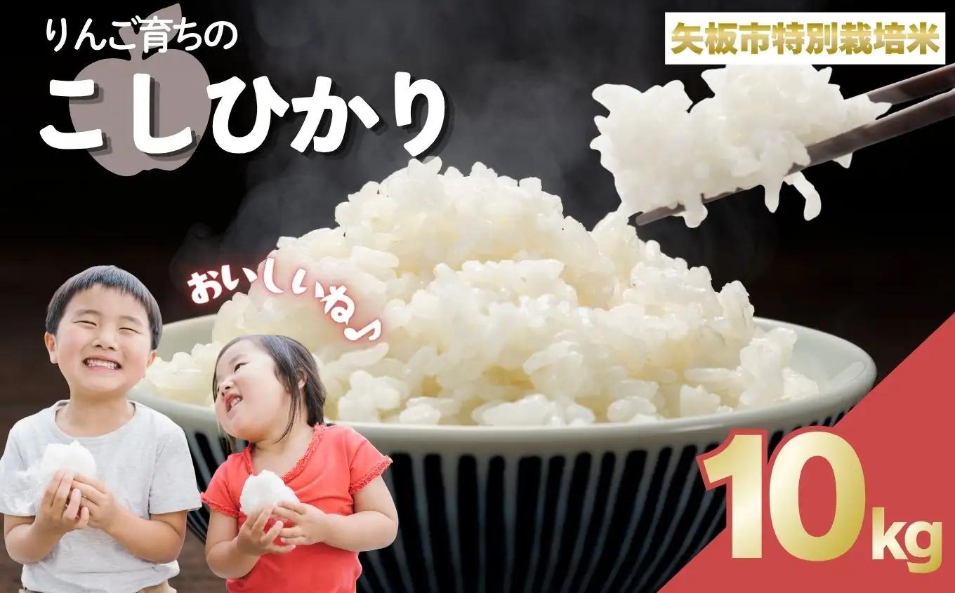 お米 矢板市特別栽培米「コシヒカリ」りんご育ちの こしひかり 10kg 