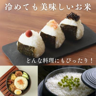 ふるさと納税 小浜市 令和7年産新米　福井県産あきさかり白米10kg(5kg×2袋) |  | 02