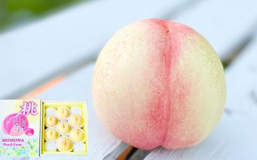 19種類の桃を育てる！ モモナピーチファームの桃 2.0kg（7～9玉） 【2025年6月上旬から10月下旬迄発送予定】 ／ 桃 もも モモ ピーチ 白桃 はくとう 清水白桃 白鳳 恋みらい 旬の桃 果物 くだもの フルーツ 果実 デザート