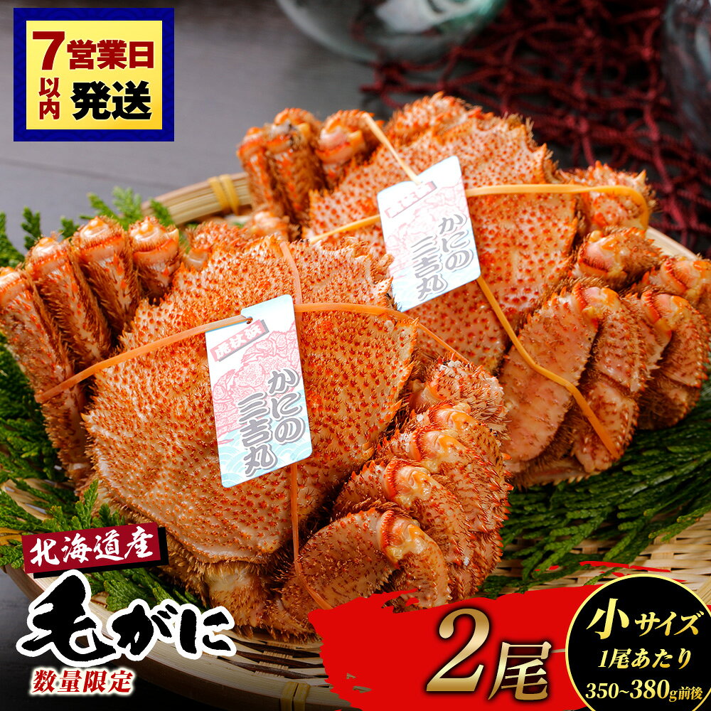 【ふるさと納税】【小サイズ】北海道産 冷凍ボイル毛ガニ (350g-380g前後) 2尾 選べる発送月毛がに 毛ガニ 毛蟹 蟹 カニ 北海道ふるさと納税 白老 ふるさと納税 北海道 おせち