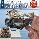 【ふるさと納税】小豆島 天領真牡蠣 (殻付き加熱用) 50個セット | カキ 魚介類 水産 食品 人気 おすすめ 送料無料