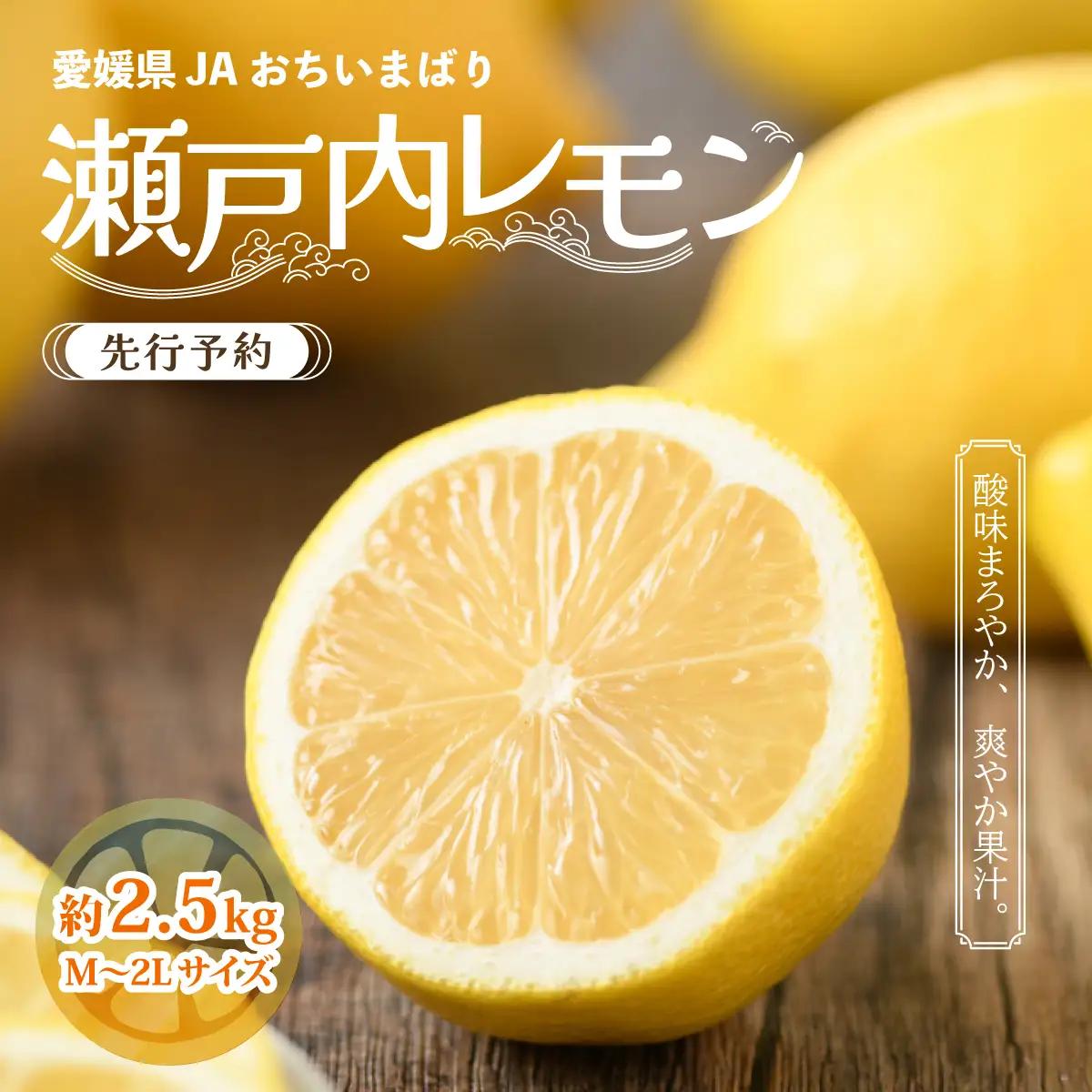 レモン 【先行予約】瀬戸内 レモン小箱　約2.5kg　JA選果品　Lサイズ