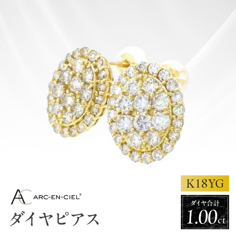 【ふるさと納税】ダイヤピアス アクセサリー アルカンシェル K18YG 計 1.0ct ダイヤモンド ピアス 直付けタイプ イエローゴールド K18 18金 ジュエリー レディース 女性用 ギフト用 プレゼント用 記念日 誕生日 結婚記念日 大阪府 泉佐野市 送料無料