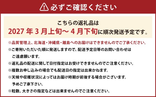 春のあまおう 2L・2A・G規格以上 約250～270g×4パック あまおう いちご イチゴ 苺 果物 くだもの フルーツ【2027年3月上旬～4月下旬発送予定】