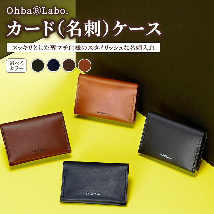 【ふるさと納税】【選べるカラー】カード（名刺）ケース