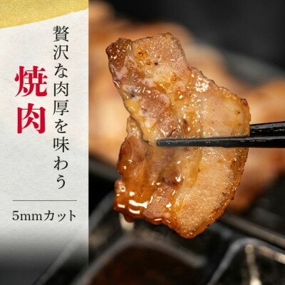 【ふるさと納税】【ふるさと納税限定】くんじゃん豚 焼肉セット3.2kg(バラ・ロース)【配送不可地域：離島】【1582036】