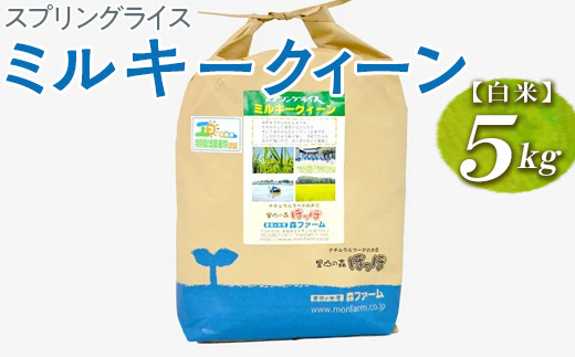 スプリングライス ミルキークィーン (白米) 5kg | 米 こめ コメ 5キロ 精米 白米 ミルキークイーン みるきーくいーん 古河市産 茨城県産 取り寄せ お取り寄せ ギフト 贈答 贈り物 プレゼント お中元 お歳暮 茨城県 古河市 直送 農家直送 産地直送 送料無料 _BI22