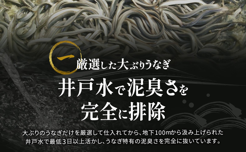 国産 うなぎ 勝美 蒲焼き 3尾（約160g×3尾 タレ75ml×1本 山椒×