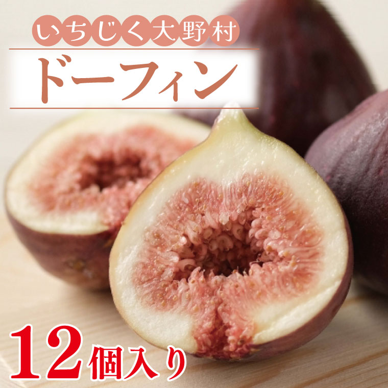 【先行予約】【7月上旬～11月まで発送】いちじく大野村(ドーフィン) 12個入 フルーツ果物（KAE-5）