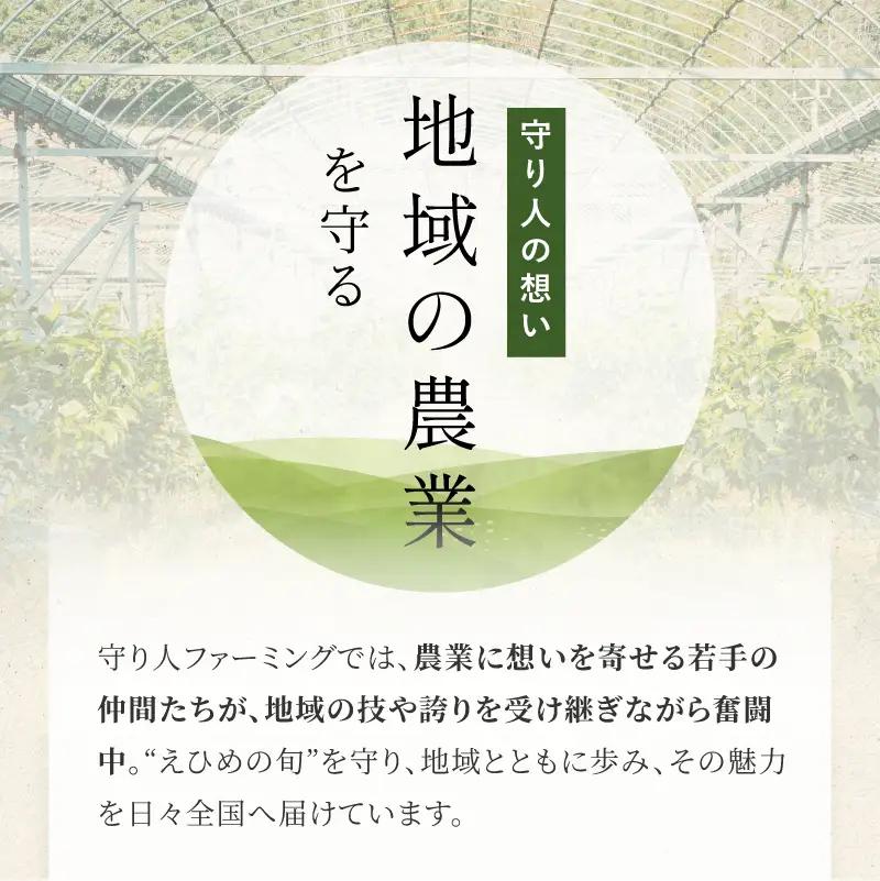 【先行予約】【数量限定】守り人の甘平 3kg（家庭用）