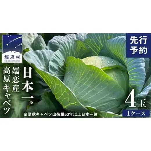 ＜レビューキャンペーン開催中＞【7月中旬発送開始】 嬬恋キャベツ  嬬恋産 高原キャベツ4玉1ケース Lサイズ 先行予約 2026年発送 [AS002tu]