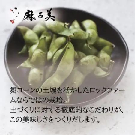 京都府産 黒枝豆 麻ろ美BOX 約1kg(500g×2袋)　ロックファーム京都【配送不可地域：離島・北海道・沖縄県】【1781152】