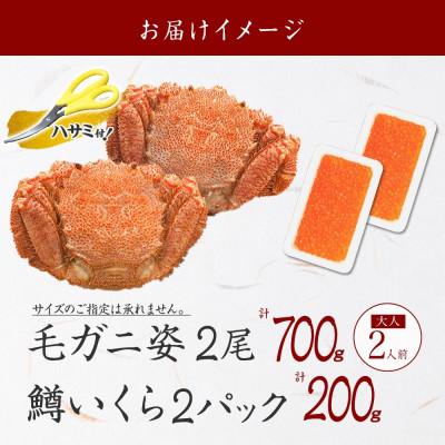 ふるさと納税 弟子屈町 毛蟹 2尾 約700g 鱒いくら醤油漬け 200g 蟹ハサミ・ガイド付き 北海道 弟子屈町 3629 |  | 03