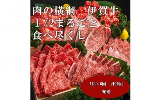 
【月3×6回　計18回発送】肉の横綱　伊賀牛１/2まるごと食べ尽くし
