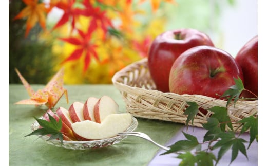 甘味たっぷり！【南信州産】シナノスイート 約5kg 10～18玉 2026年10月中旬より発送 長野県 信州 高森町 産地直送 果物 くだもの 旬のりんご りんご リンゴ りんご3兄弟 JAみなみ信州