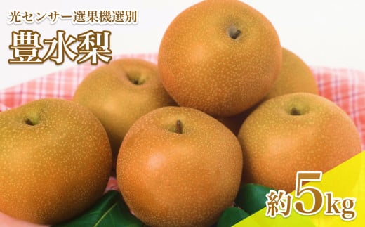 【9月上旬から発送予定】南信州産 豊水梨 約5kg 秋の味覚  光センサー選果機選別品 | 長野県 飯田市