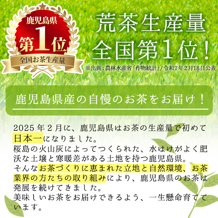 ＜お茶生産量日本一の鹿児島県産！＞小さいお茶屋の深蒸し茶～麗椿～(茶葉100g×3本・合計300g) 【お茶の山口園】A186-v01