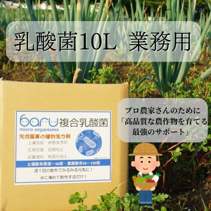 【ふるさと納税】環境に優しい農業用乳酸菌 安全で効果的な乳酸菌液をお届け 乳酸菌資材 有益菌農業 農業 家庭菜園 堆肥化 土壌改良 植物活力剤 野菜栽培 果物 花 原液 天然 堆肥作り あきた発酵農法 発酵 10L 業務用[H9904]