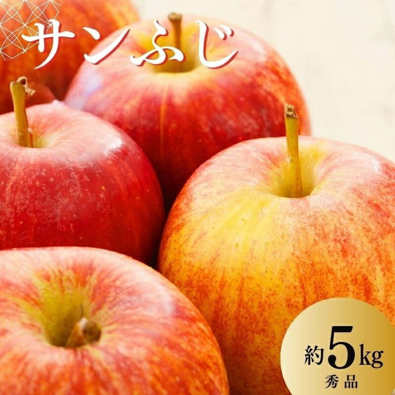【ふるさと納税】No.2966 ししどりんご園　りんご「サンふじ」約5kg 秀品【2025年度発送】