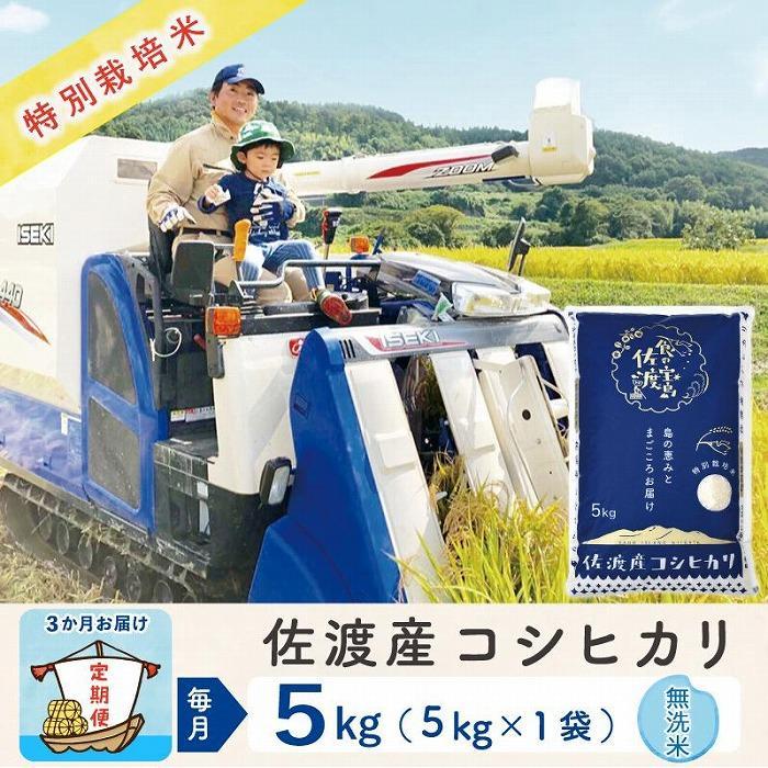 【ふるさと納税】【3か月定期便】佐渡島産コシヒカリ 無洗米5Kg 令和7年 特別栽培米 農家直送 | お米 こめ 白米 食品 人気 おすすめ 送料無料