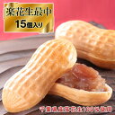 【ふるさと納税】楽花生最中15個入り【お菓子・スイーツ・焼菓子・最中・もなか・モナカ】　【お菓子・スイーツ・焼菓子・最中・もなか・モナカ】