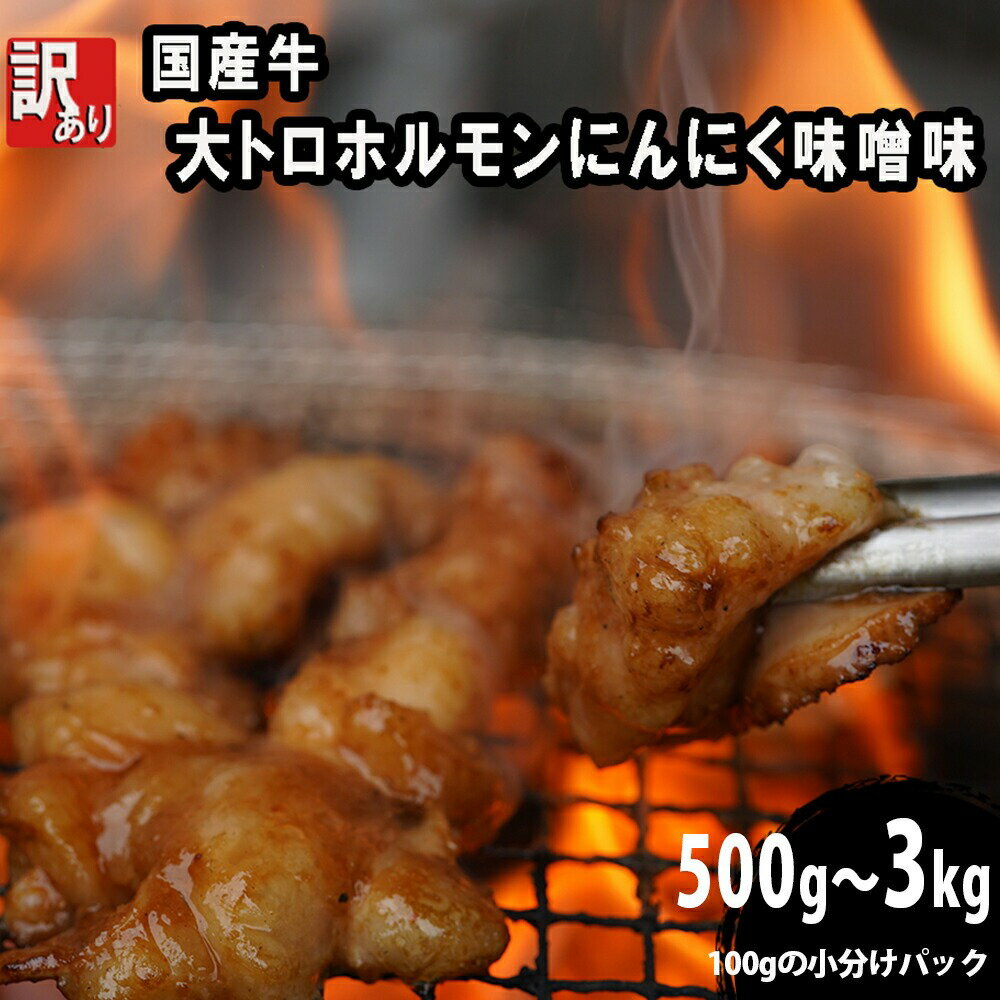 【ふるさと納税】 【 訳あり 】国産牛 大トロホルモン にんにく味噌味 500g 1kg / 1.5kg / 2kg / 3kg 100g 小分け パック ニンニク ガーリック 味噌味 ホルモン 焼き 焼肉 味付 小分け 冷凍 味噌だれ 不揃い 焼き肉 炒め物 国産 牛 肉 京都府 舞鶴市 幸福亭