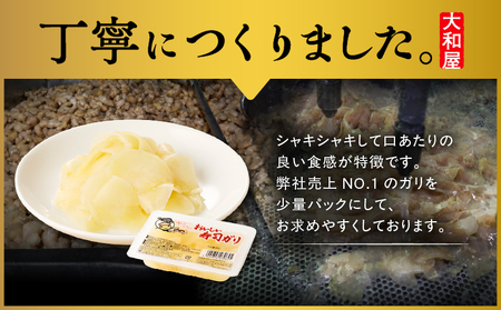 【10営業日以内に発送】おいしい 寿司ガリお徳用 セット（12個入り） T055-016 惣菜 総菜 加工食品