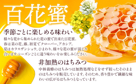 勝浦産 非加熱の生ハチミツ(430g)ハチミツスプーン付き【1071780】