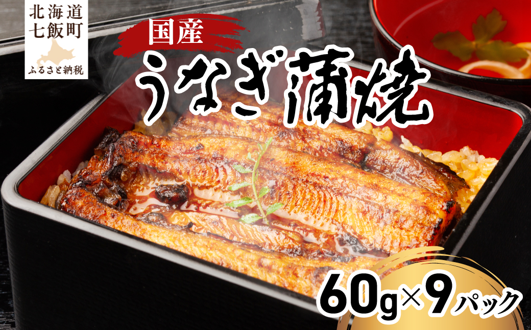 国産うなぎ蒲焼×3箱セット(60g×9） NAAF002
