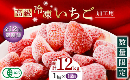 【12回定期便】【数量限定】高級 冷凍  いちご 加工用 約1kg（約500g×2袋）【伊藤農園】 果物 フルーツ イチゴ いちご 苺 熊本県 特産品 オーガニック 有機 恋みのり 冷凍 いちご 冷凍いちご 定期 [ZBB017]