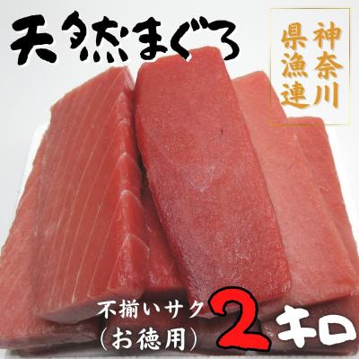 ふるさと納税 三浦市 神奈川県漁連　天然マグロ 2kg　不揃いサク