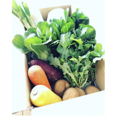 ふるさと納税 香取市 栽培期間中、農薬不使用季節のお野菜セット　9種程度 (目安3〜4人家族用) |  | 02