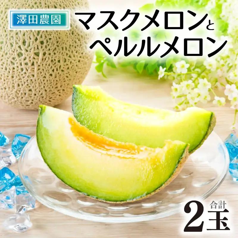 【先行予約】マスクメロン・ペルルメロン 2種セット(2玉入）大玉で食べ応え抜群！／ あわら 期間限定 青肉 果物 フルーツ 産地直送 ※2026年7月上旬より順次発送 [aw039-a007]