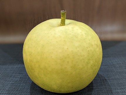農家直送】みなみ農園のなし（二十世紀）約５Kg±