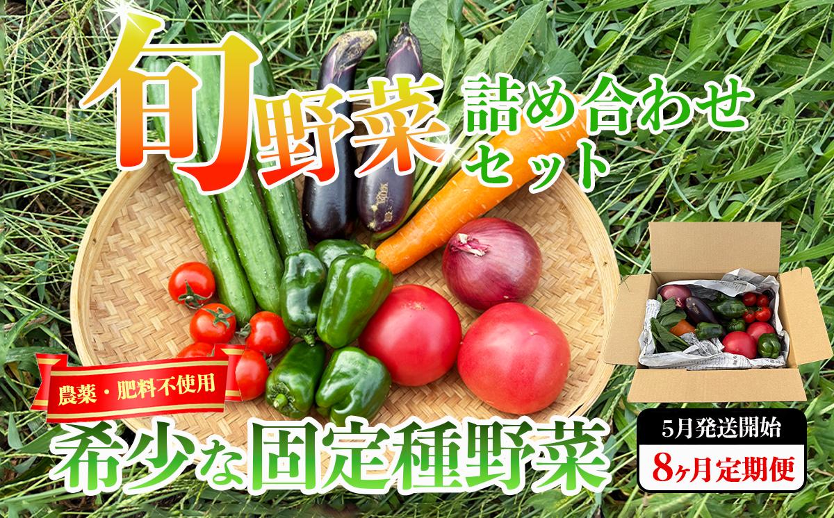 
                  先行予約 2026年5月発送開始 旬のお野菜セット【 8回 定期便 】固定種野菜の自然栽培 │ 野菜 やさい 夏野菜 春野菜 季節 詰め合わせ 農薬不使用 茨城県 つくば市
                