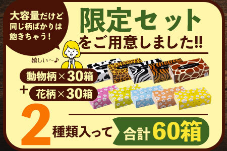 【ふるさと納税】 ティッシュペーパー 60箱「 大容量 プラムファッション＆ANIMAL BOXティッシュ 限定セット 各柄30箱×2 (1箱150組) 」 [ ティッシュ 常備品 生活用品 まとめ買
