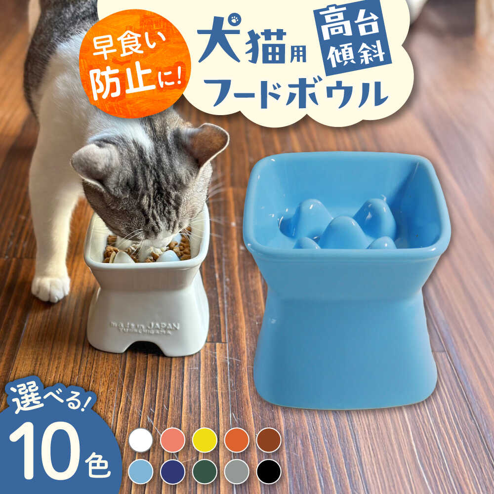 【ふるさと納税】【選べる10色タイプ】【美濃焼】 陶器製ペット用フードボウル 早食い防止 高台傾斜カラーフードボウル pet166 瑞浪市 / ながしまプランニングオフィス エサ入れ 餌皿 犬 猫[AZBM040]