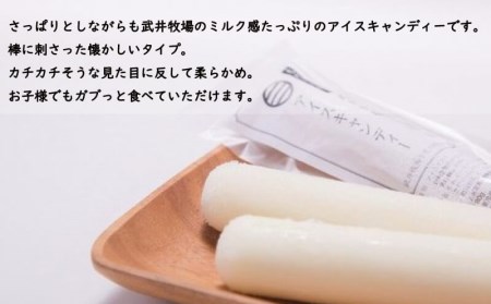 【価格改定予定】うちだけの味武井牧場　アイスキャンディー（牛乳味）