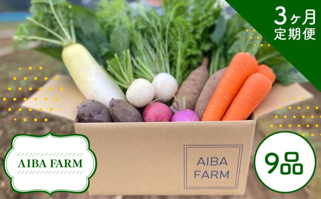 【3ヶ月 定期便】【栽培期間中農薬不使用】農家直送！「９品」季節の新鮮野菜詰め合わせセット AIBA FARM TML002 / 野菜セット 無農薬 野菜 千葉県 富里市 直送野菜 お野菜セット 旬野菜 季節野菜 農家直送 採れたて とれたて やさい 詰め合わせ セット ヤサイ 旬の野菜 季節の野菜 産地直送 詰め合わせ おまかせ 新鮮 農薬不使用