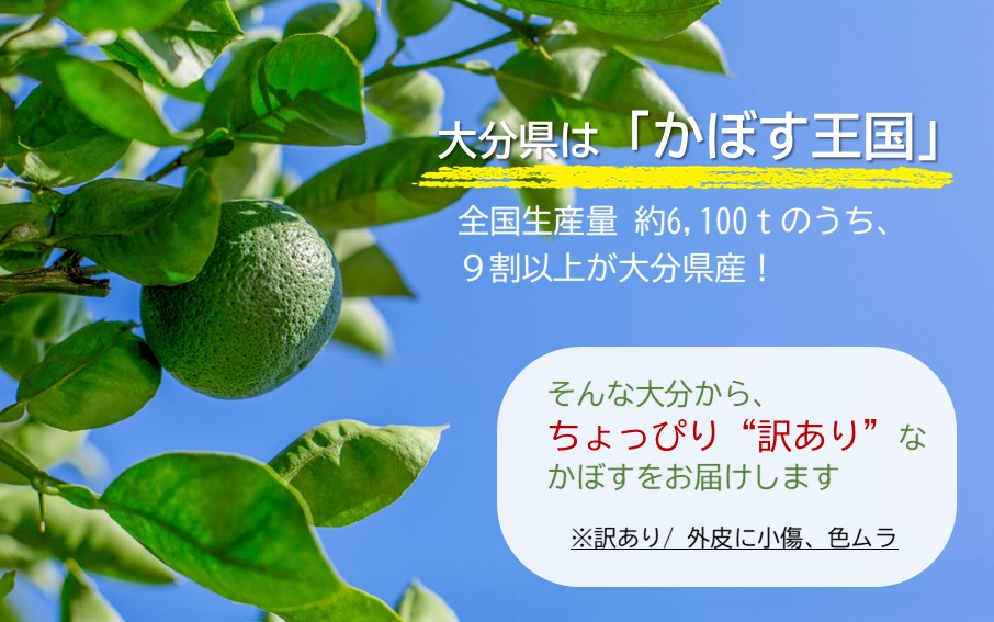 【訳あり】大分県産 露地かぼす 10kg_2612R-3