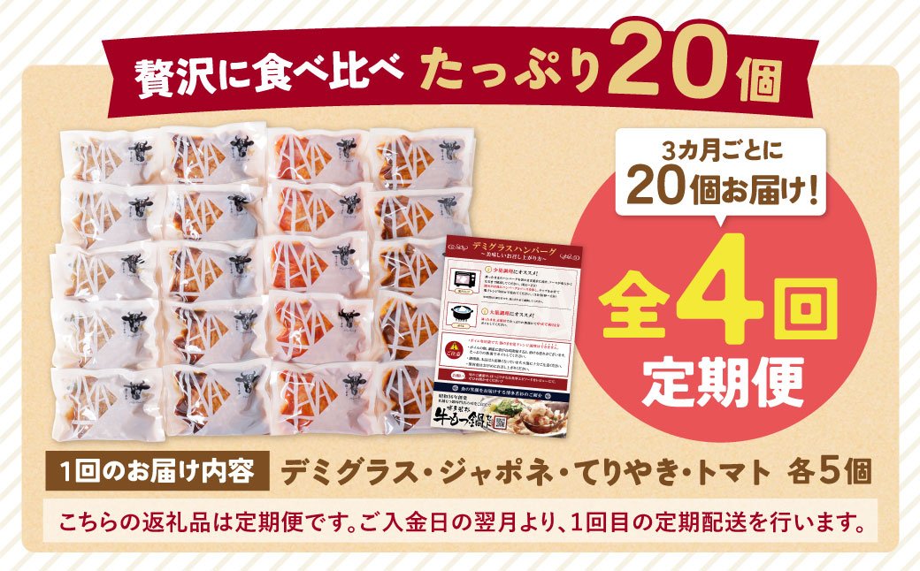 【4回定期便】Best4バーグ ハンバーグ 20個【合挽4種･各5個】