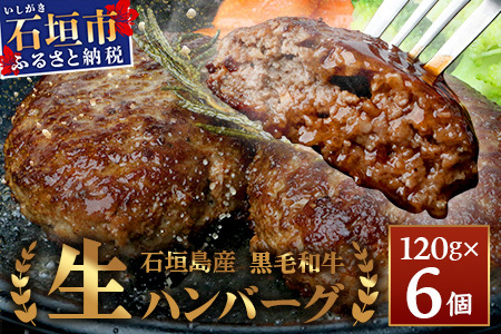 石垣島産 黒毛和牛 生ハンバーグ 120g x 6個 UN-1