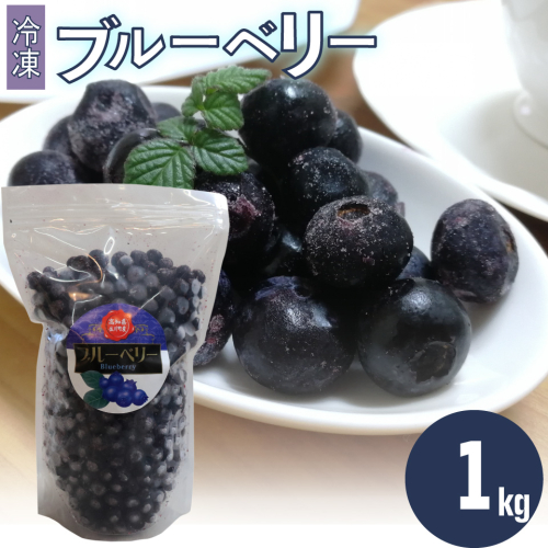 ＜発送まで最大で４～６ヶ月程度お待たせする事があります（申込状況により遅れる場合があります）＞【ブルーベリー（冷凍）1kg】 フルーツ くだもの 高知県 佐川町 果物 冷凍ブルーベリー 常備果物