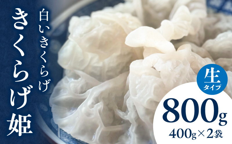 白いきくらげ「きくらげ姫」(生タイプ)800g きくらげ 白いきくらげ 木耳