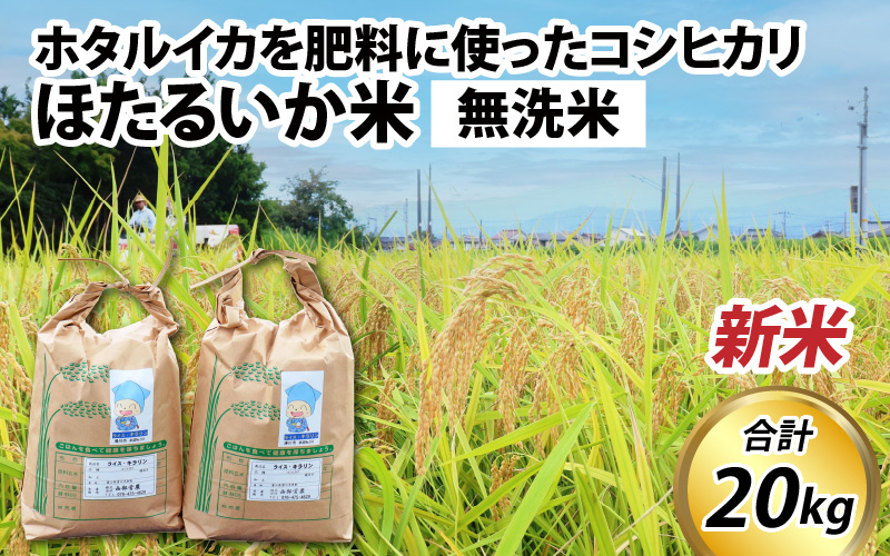 【先行予約】【新米】ほたるいか米（新米/無洗米20kg）25年10月以降順次配送予定
