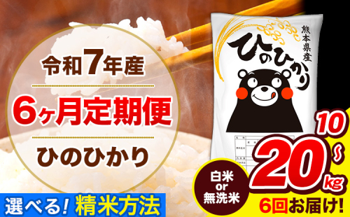 令和7年産 ひのひかり 【6ヶ月定期便】 選べる精米方法 白米 or 無洗米 5kg 10kg 20kg 計6回お届け 《お申込み翌月から出荷》 熊本県産 白米 無洗米 精米 ひの 米 こめ お米 熊本県 長洲町