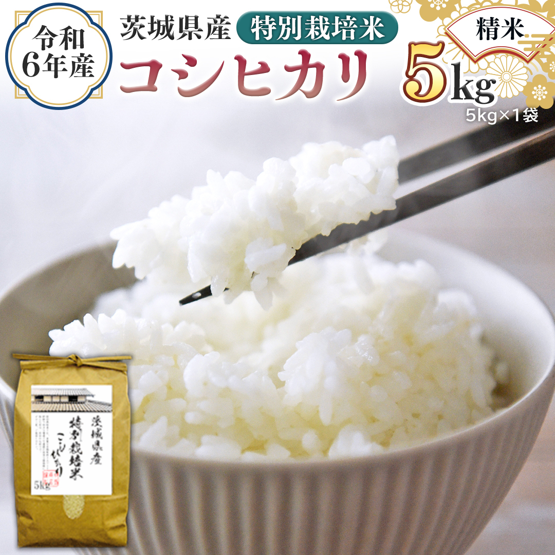 令和6年産 茨城県産 精米 特別栽培米 コシヒカリ 5kg （5kg×1袋） 白米 こしひかり 米 コメ こめ 単一米 限定 茨城県産 国産 美味しい お米 おこめ おコメ [EH07-NT]