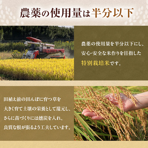 令和7年産 特別栽培米 にこまる 白米 5kg 精米 お米 こめ コメ ごはん ご飯 単一原料米
